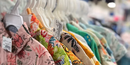 Weekly Wednesday Drop!
