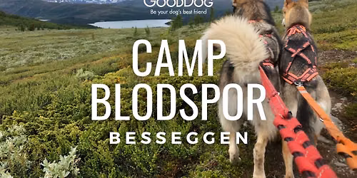 Camp Blodspor