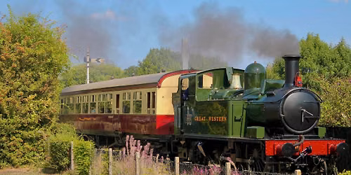 Limited Run - Steam Days