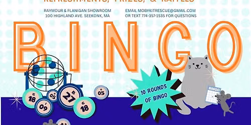 BINGO FUNDRAISER FOR MOBY KIT RESCUE