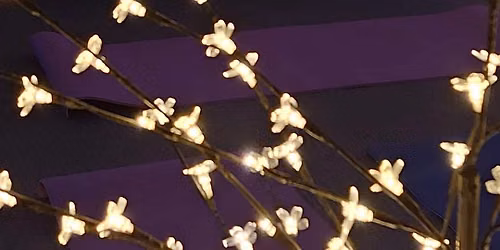 Crystal Singing Bowls and Meditation