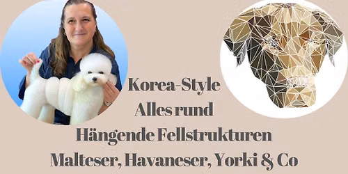 Korea Style mit Azra Maurer