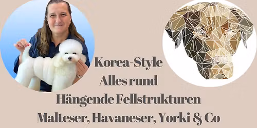 Korea Style mit Azra Maurer