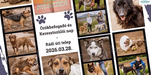 M\u00e1rciusi \u00f6r\u00f6kbefogad\u00f3 \u00e9s keresztsz\u00fcl\u0151i nap (R\u00e1di \u00fati telephely)