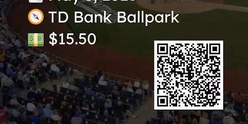 StarThrower Group Night with the Somerset Patriots