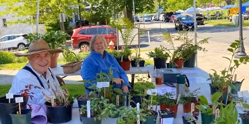 Garden Supplies, Planters, Plants and More Sale!