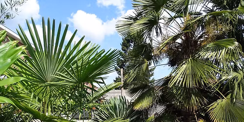 Vrije bezoekmomenten CASA TROPICAL 2026