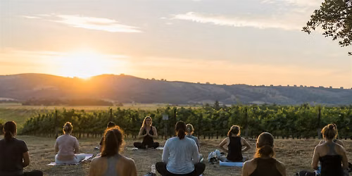 Yoga, Wine & Bites in the Vines by Trecini Winery