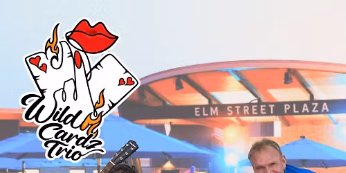 Wild Cardz Trio @ Elm St. Plaza, WI Dells