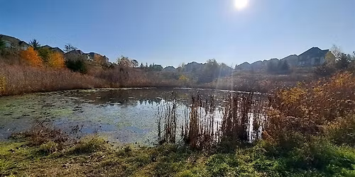 Invasive Species Management for Farmers and Rural Landowners