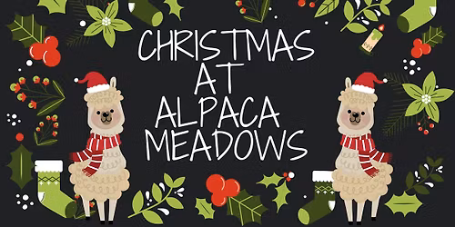Christmas at Alpaca Meadows