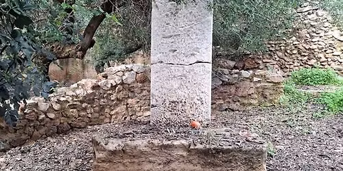 \u03a0\u03b5\u03b6\u03bf\u03c0\u03bf\u03c1\u03af\u03b1 \u039a\u03c5\u03c1\u03b9\u03b1\u03ba\u03ae \u03c3\u03c4\u03bf \u039c\u03bf\u03bd\u03bf\u03c0\u03ac\u03c4\u03b9 \u03c4\u03c9\u03bd \u039d\u03c5\u03bc\u03c6\u03ce\u03bd \u03b3\u03b9\u03bf\u03c1\u03c4\u03ae \u03c4\u03b7\u03c2 \u03b3\u03c5\u03bd\u03b1\u03af\u03ba\u03b1\u03c2 \u03c4\u03c1\u03b5\u03af\u03c2 \u03bb\u03cc\u03c6\u03bf\u03c5\u03c2 \u039c\u03bf\u03c5\u03c3\u03ce\u03bd \u03a0\u03bd\u03cd\u03ba\u03b1\u03c2 \u039d\u03c5\u03bc\u03c6\u03c9\u03bd