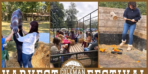 2026 Harvest Festival at Coleman Memorial Park