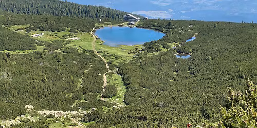 \u041f\u044a\u0440\u0432\u0438 \u0441\u0442\u044a\u043f\u043a\u0438 \u0432 \u041f\u0438\u0440\u0438\u043d \u0437\u0430 5 \u0434\u043d\u0438