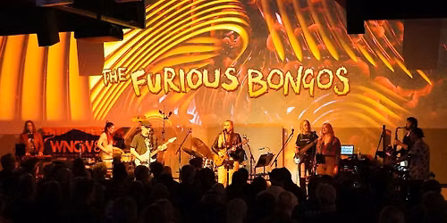 The Furious Bongos