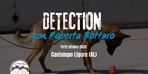 Detection workshop con Roberta Bottaro