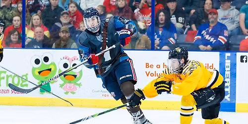 Parking Adrian College Bulldogs at Liberty Flames Mens Hockey