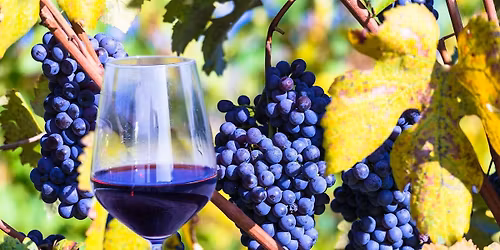 Complimentary Wine Sampling @ Sappington | Earth Day