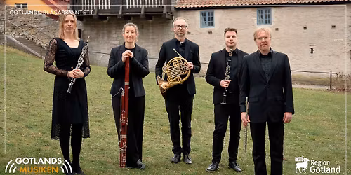 Biblioteksspelning med GOTLANDS BL\u00c5SARKVINTETT