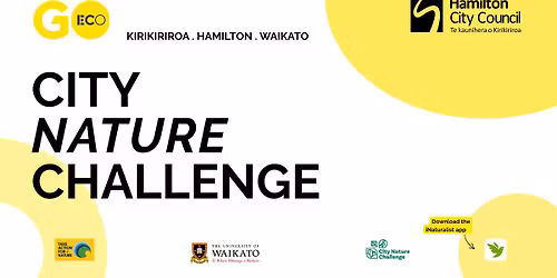 City Nature Challenge