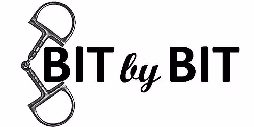 Bit by Bit 12th Annual Fundraiser