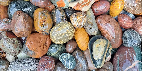 Geology Event - Journey 400 million years into the past at St. Cyrus