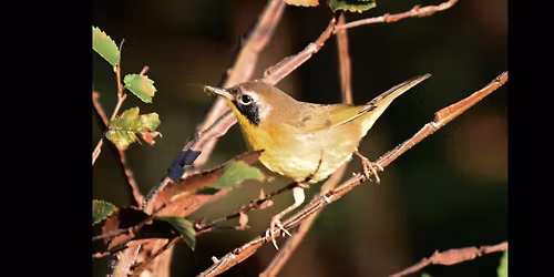 April Bird Walk - Stones River Battlefield