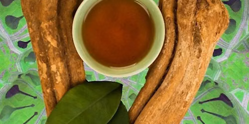 The Science of DMT & Ayahuasca