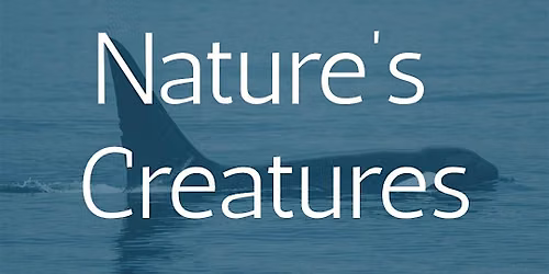 Nature's Creatures