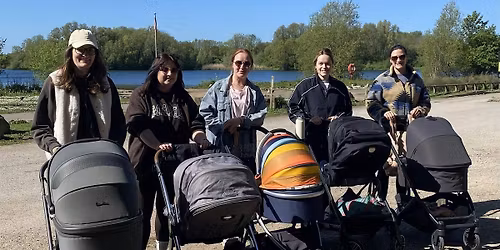 Community Buggy Walk at Rushcliffe Country Park