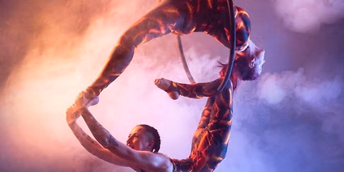 Pole and Hoop Photoshoot with @future_image_pole_and_aerial