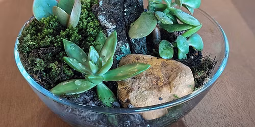 Succulent Terrariums with Allison Weeden at Edison Hills