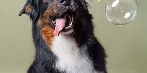 S\u00e9ance photo avec Ak\u2019pture  photographie 