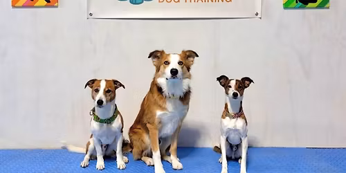 Family Dog Class