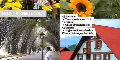 FAZENDA DAS FLORES + NOVA FRIBURGO (UMA NOVA FAZENDA NO ROTEIRO)