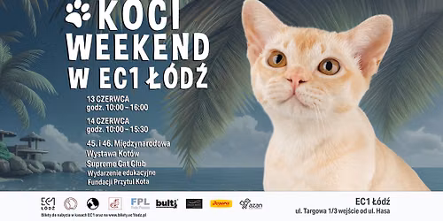KOCI WEEKEND W EC1 \u0141\u00d3D\u0179