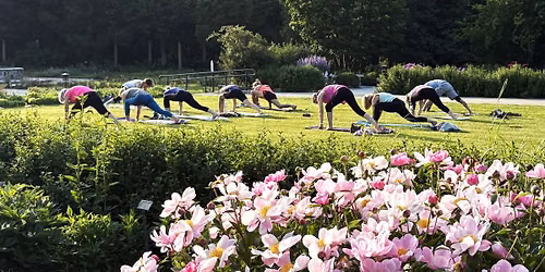 YOGA IN THE GARDENS