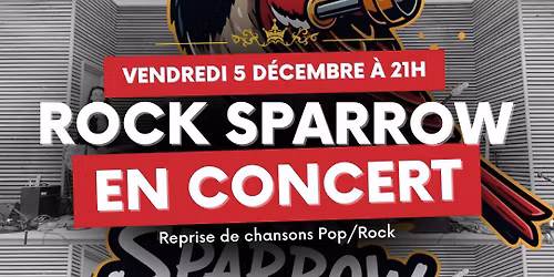 \ud83c\udfb8 Concert du groupe Rock Sparrow