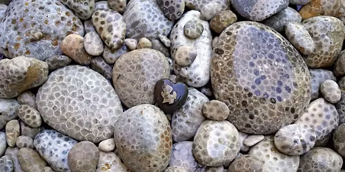 Our Next General Meeting