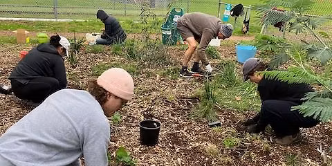 Victorian Greening Volunteers Meet-up 2025