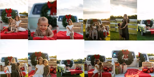 Christmas Minis on the Farm \ud83c\udf32\ud83d\udefb\ud83c\udf81 