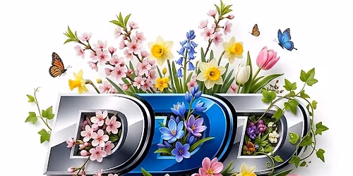 Spring Bloom Dash 