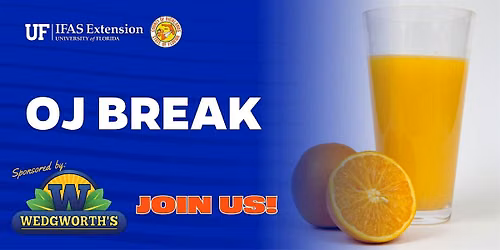 OJ Break: PULA Workshop