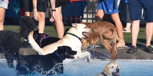 Doggie Dippin\u2019