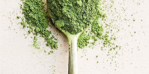 Matcha 101 Workshop
