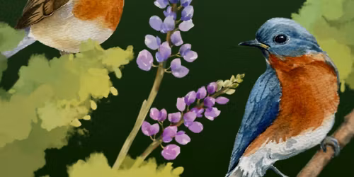 Bioblitz Lunch & Learn: From Golf Course to Wild Refuge