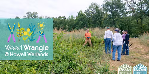 W**d Wrangle: Howell Wetlands