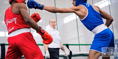 Boxing Ontario Golden Gloves Provincial Championships 2026