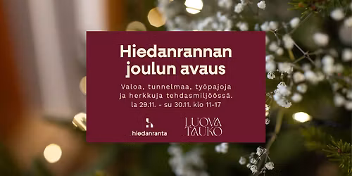 Hiedanrannan joulun avaus