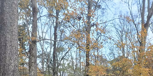 HARVEST YOUR BLESSINGS HIKE with Your TEMPRA Team